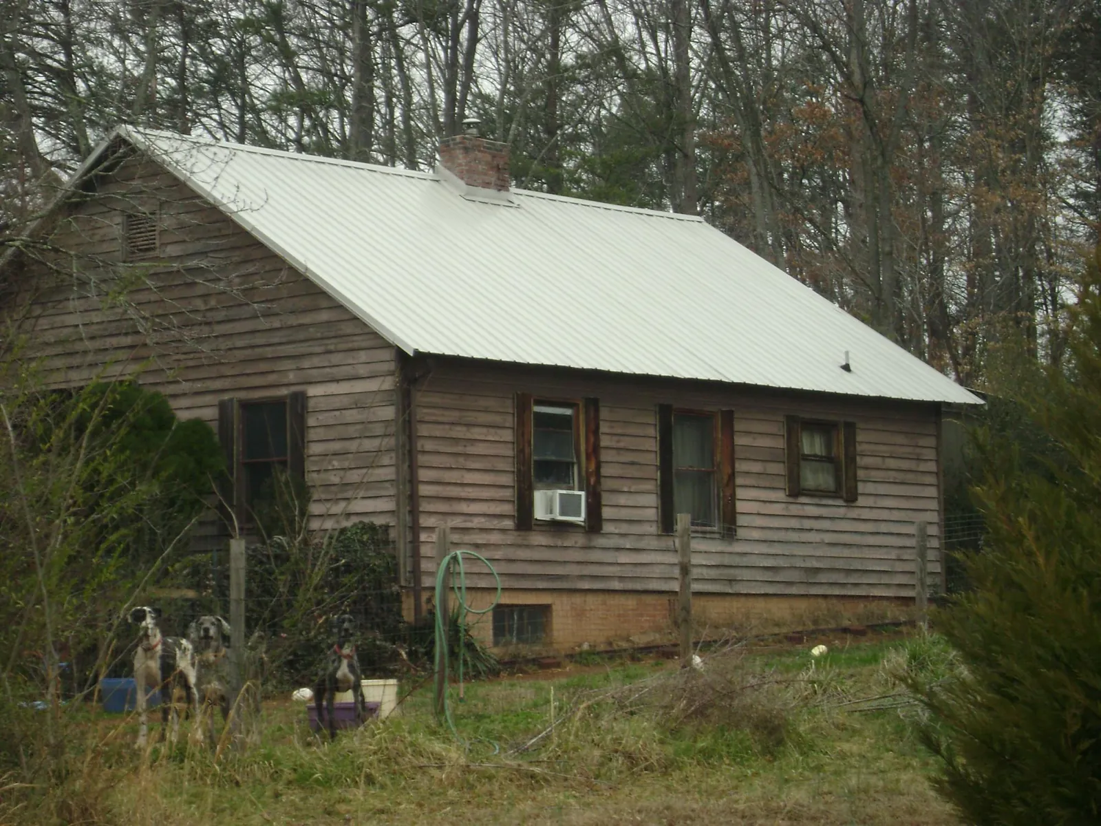 White metal roof on an old wood sided farmhouse, from a Asphalt Shingle Roof Repair job in Hector